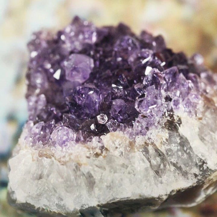 AMETHYST CLUSTER
